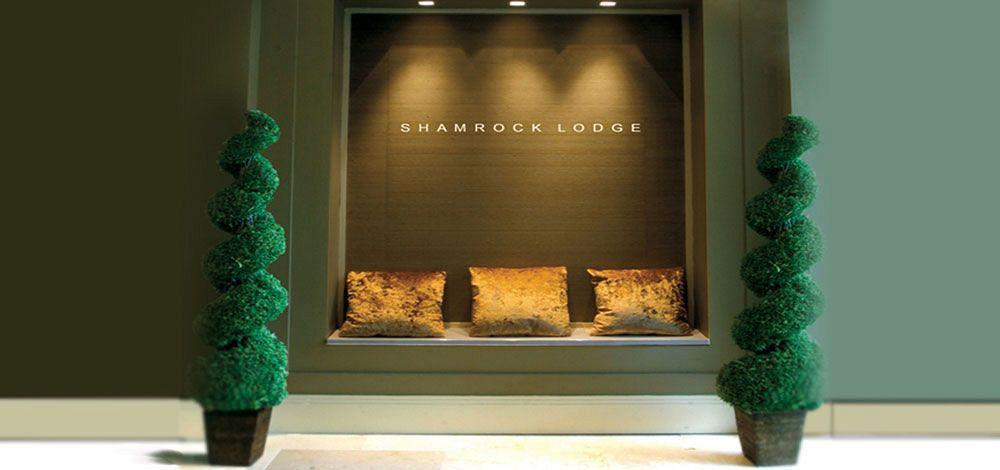 Shamrock Lodge Hotel Атлон Экстерьер фото